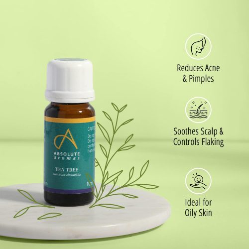 Tea Tree Essential Oil | Tea Tree Oil Uses - Absolute Aromas