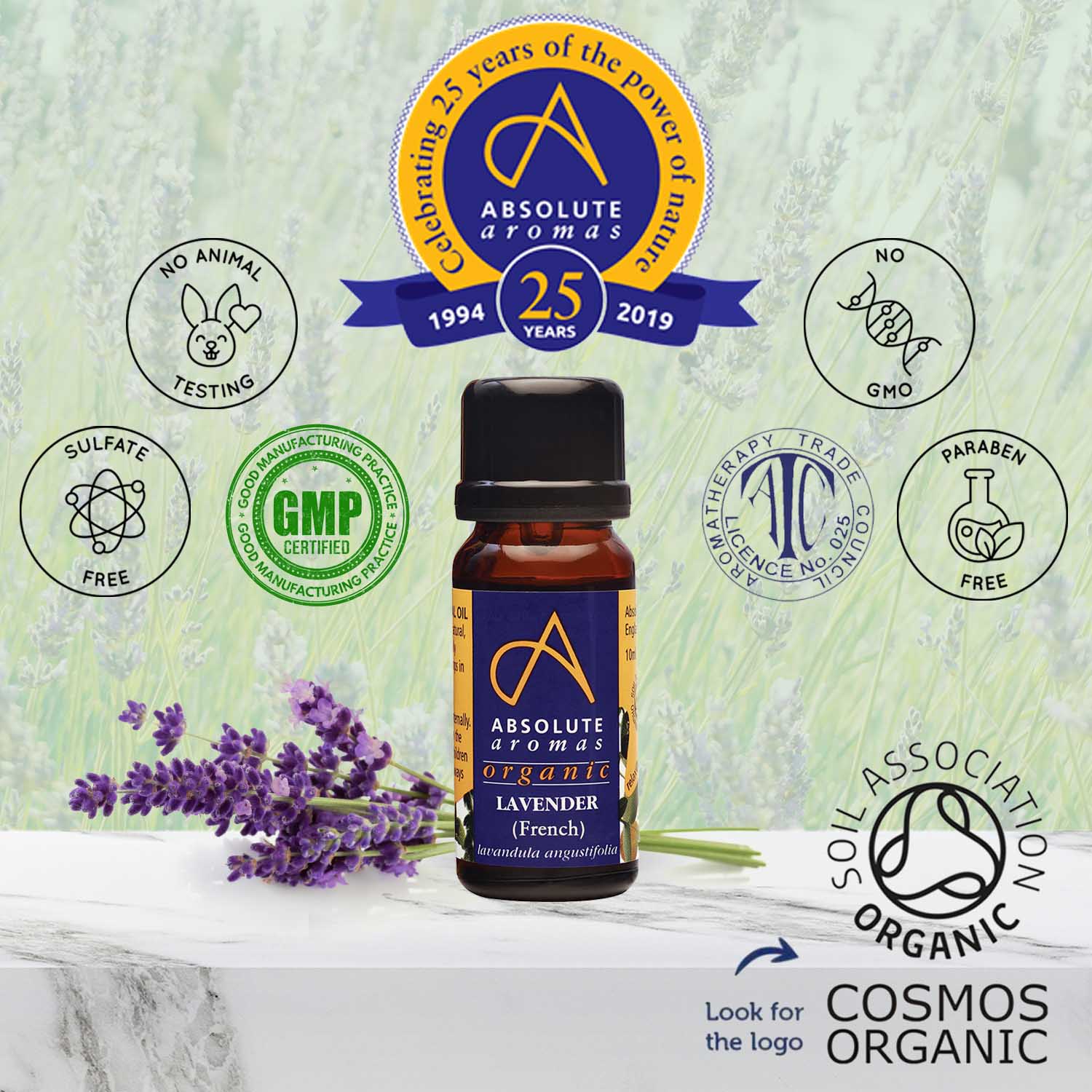 Organic French Lavender Essential Oil by Absolute Aromas