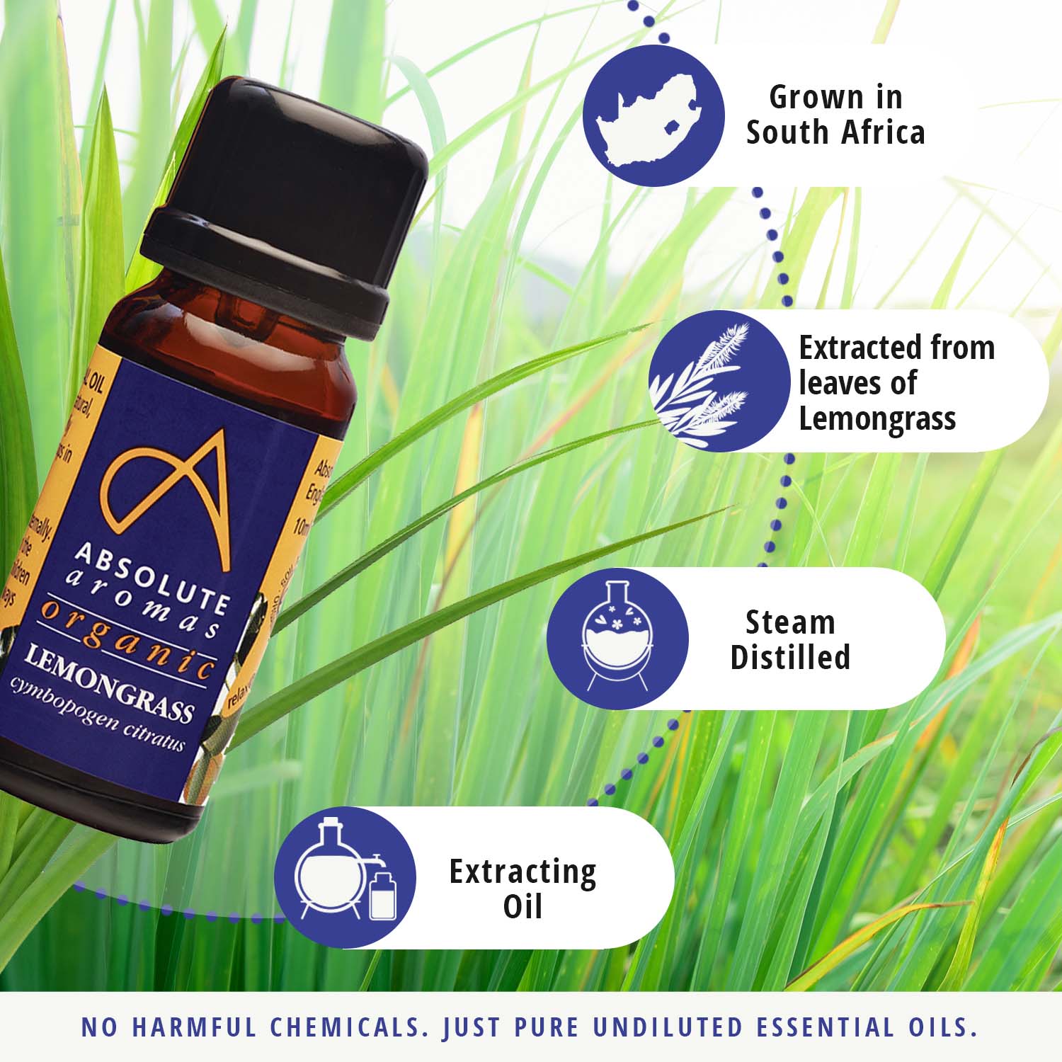 Organic lemongrass oil uses