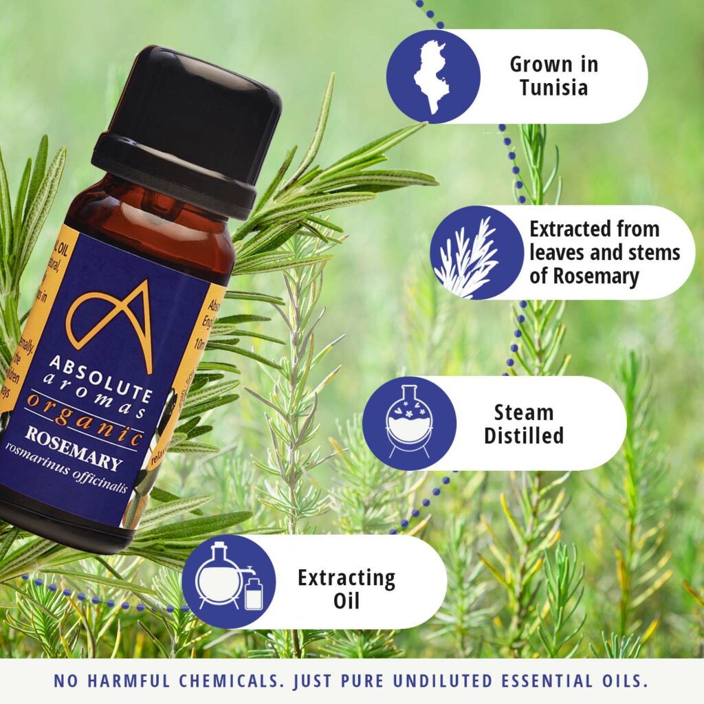 Organic Rosemary Essential Oil Aromas Rosemary Oil Price 5182