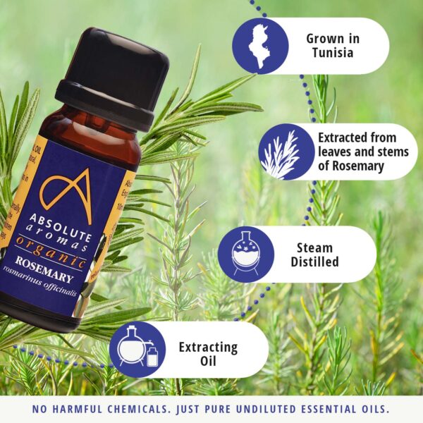 Organic Rosemary essential oil uses