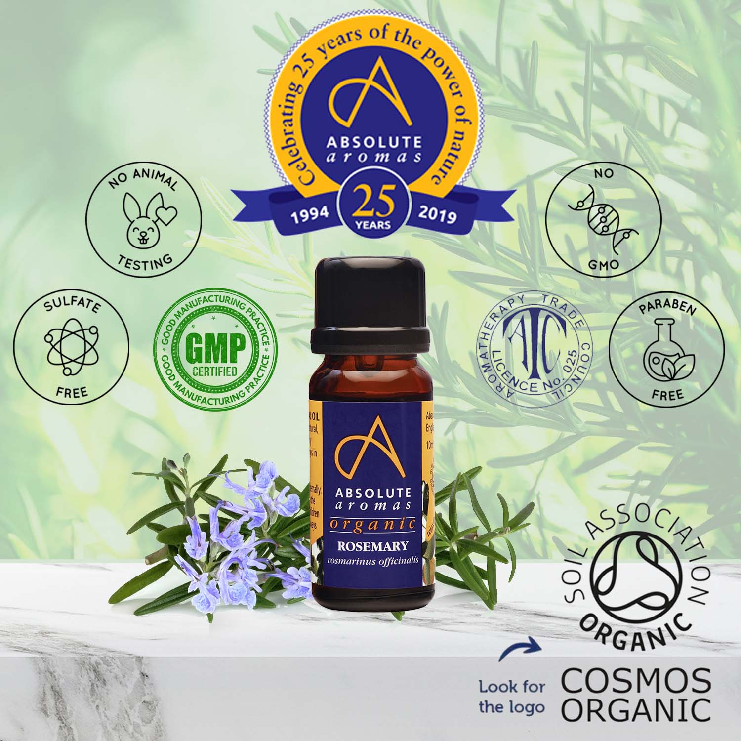 Absolute Aromas Organic Rosemary Essential OIl