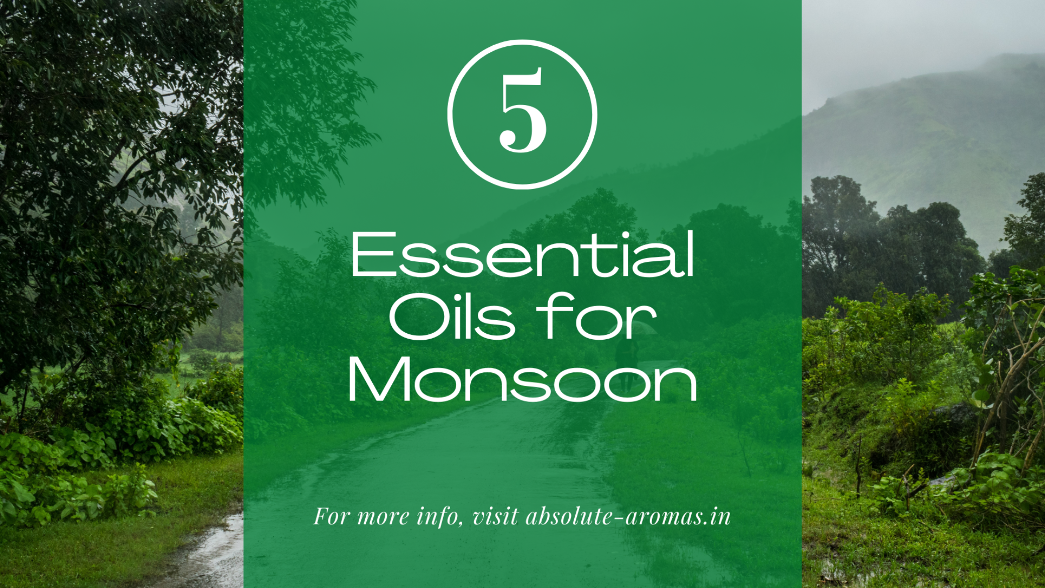 ESSENTIAL OILS FOR MONSOON SEASON